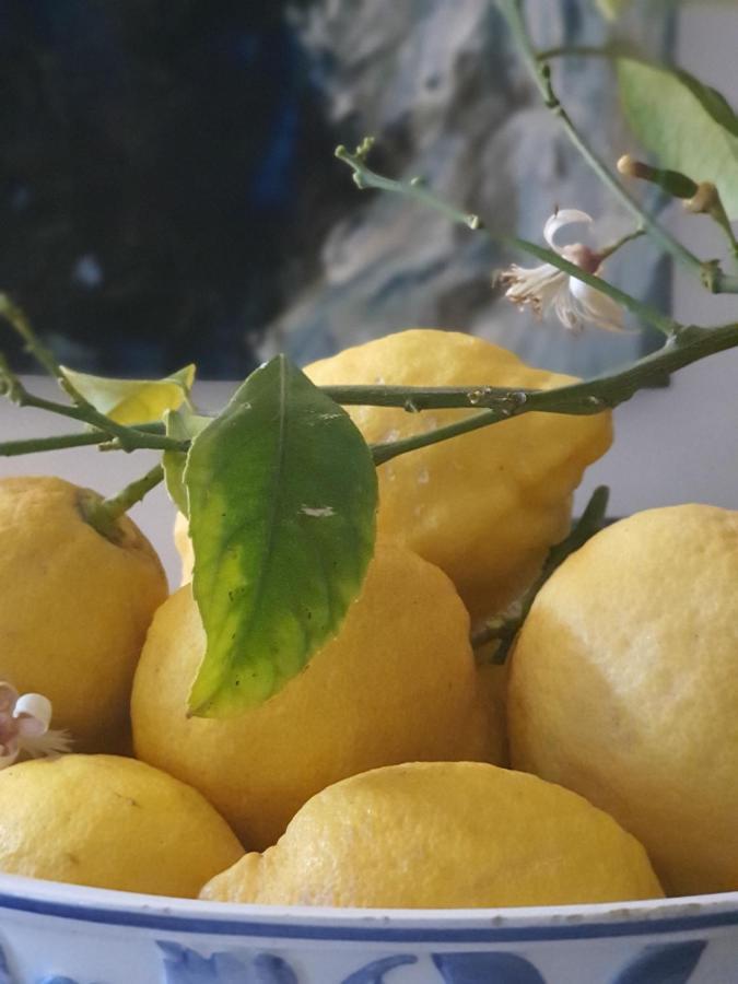 فندق ناوتيلوس كابري المظهر الخارجي الصورة