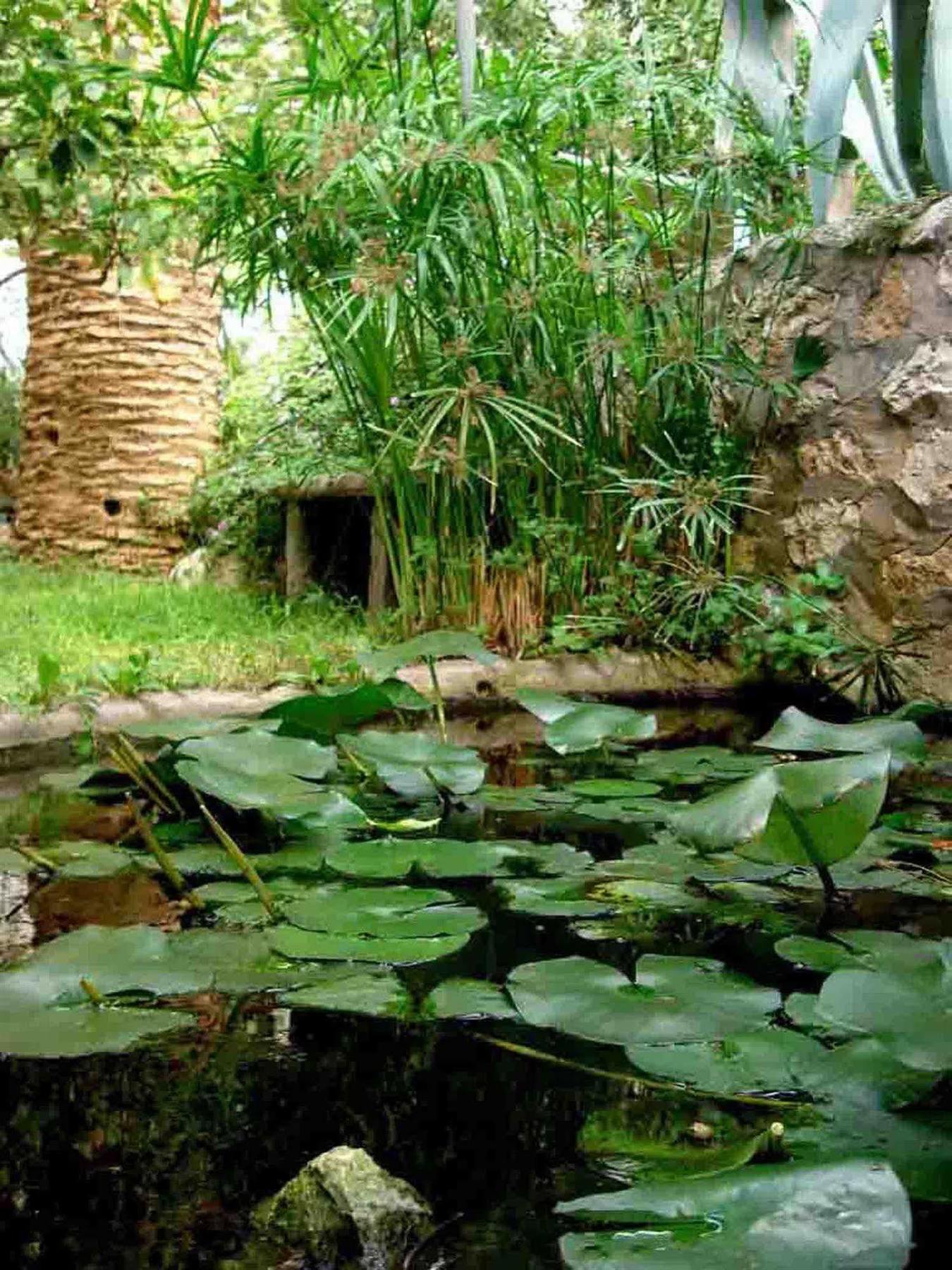 فندق ناوتيلوس كابري المظهر الخارجي الصورة